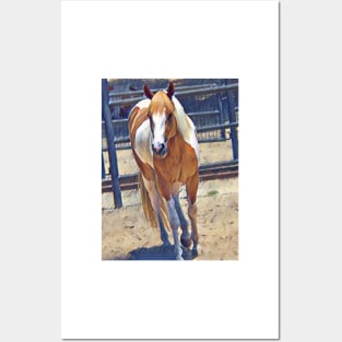 American Paint Horse Posters and Art